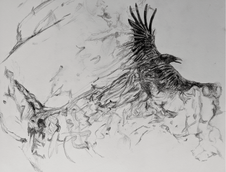 bird