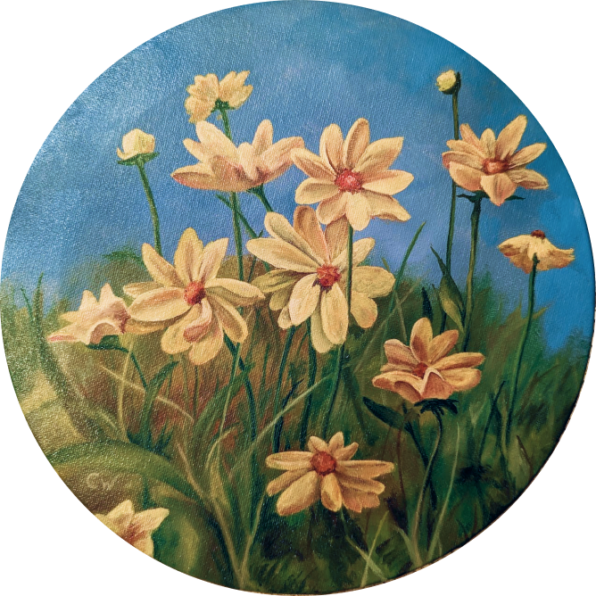 daisies