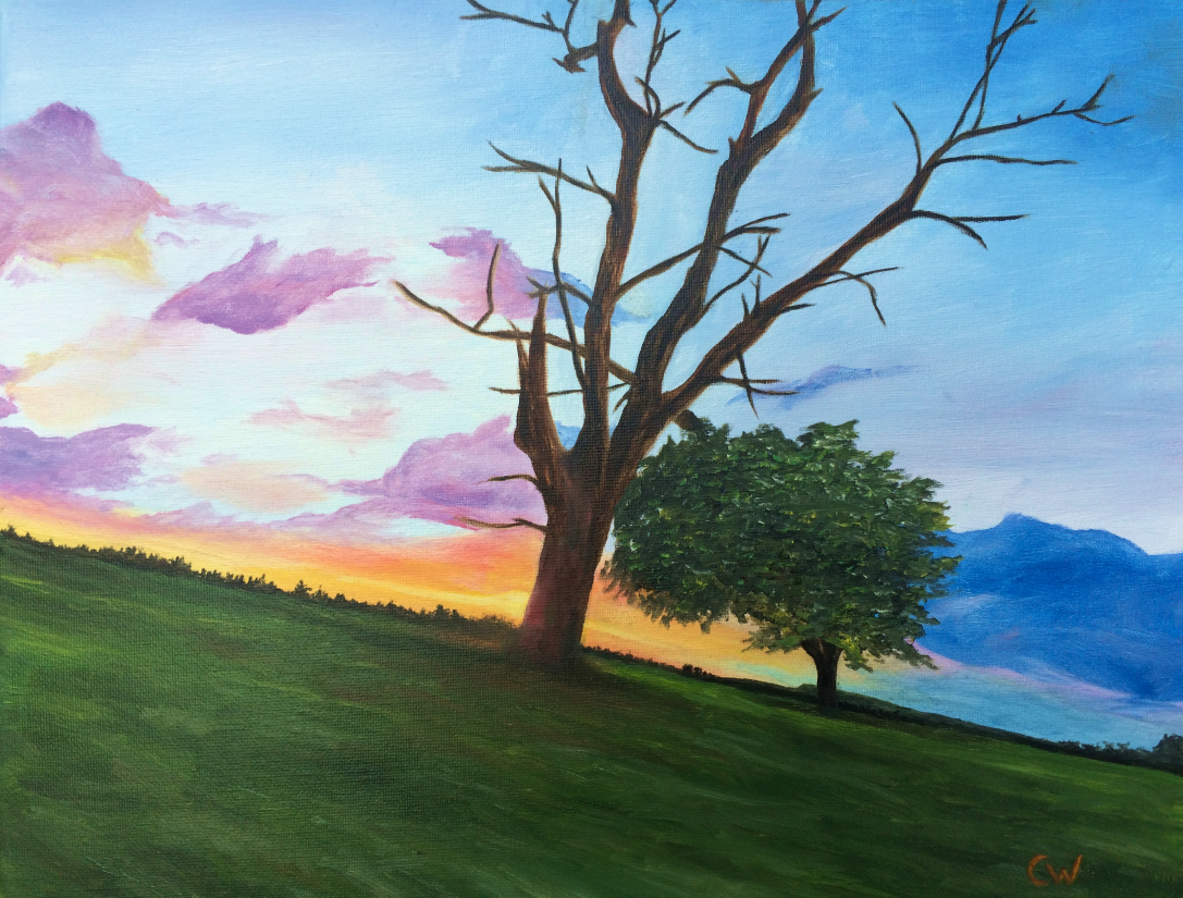 landscape
