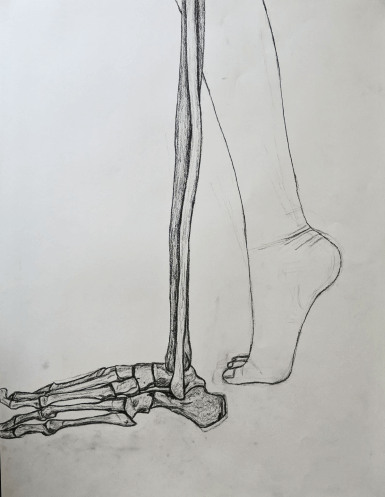 skeleton1