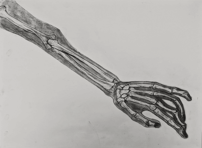 skeleton2